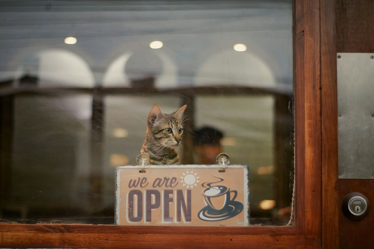 The Dos & Don’ts Of Bringing Your Pet To A Pet-Friendly Café