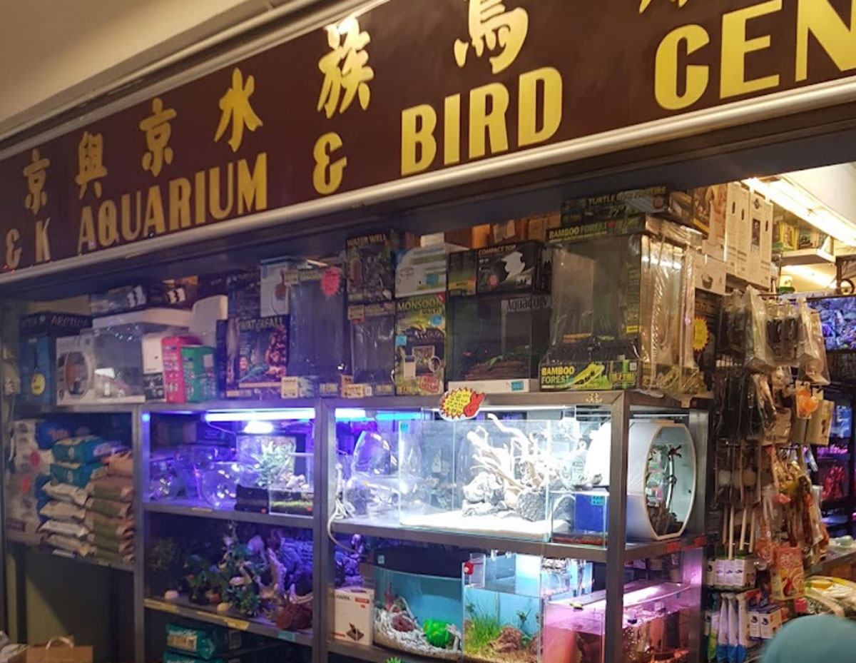 Top 3 Pet Shops In Tampines For All Your Pet Needs