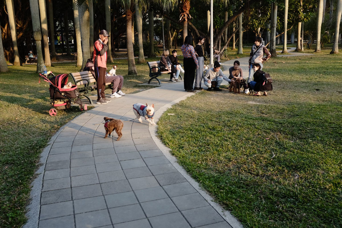 Top 3 Pet Shops In Tampines For All Your Pet Needs