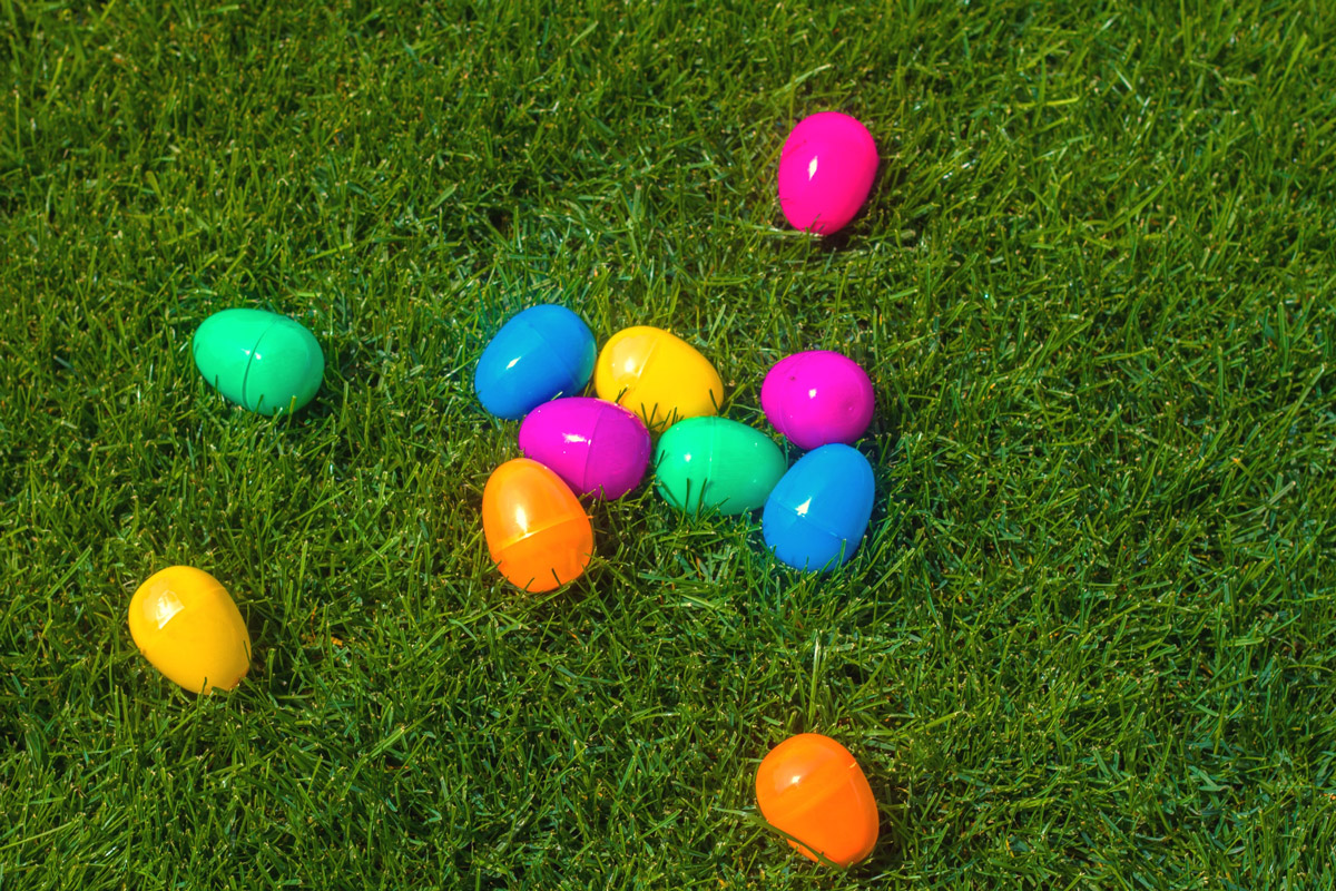 Hop Into Easter Celebrate With Your Furry Friends! 