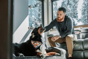 How to Choose the Best Dog Bed for Your Pet’s Comfort and Health