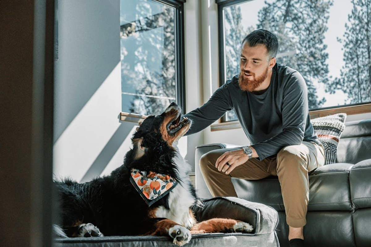 How to Choose the Best Dog Bed for Your Pet’s Comfort and Health