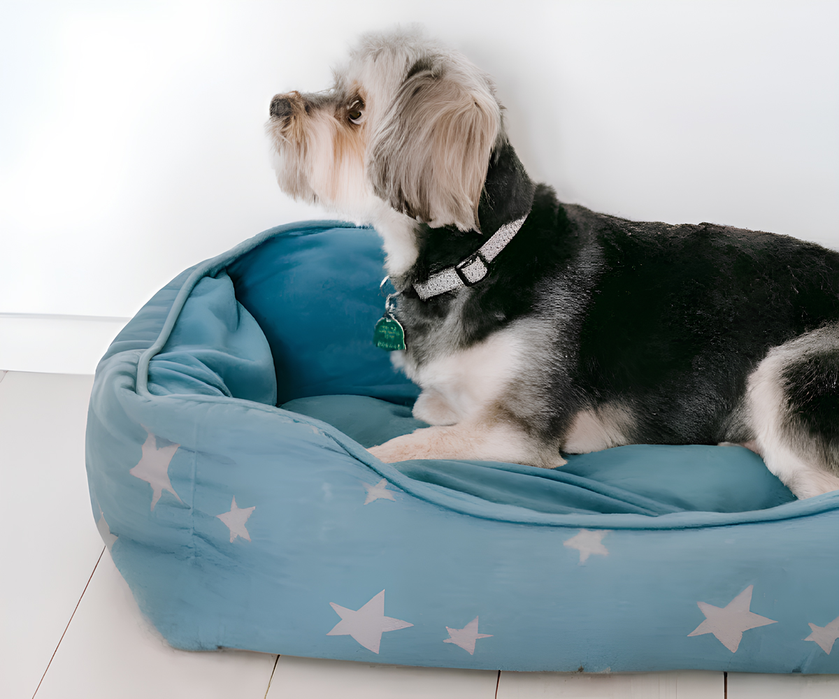 How to Choose the Best Dog Bed for Your Pet’s Comfort and Health