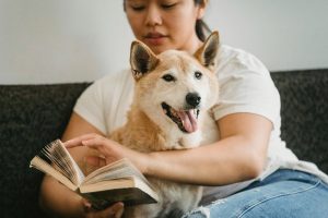 Spending Good Friday With Your Pet Peace And Quiet
