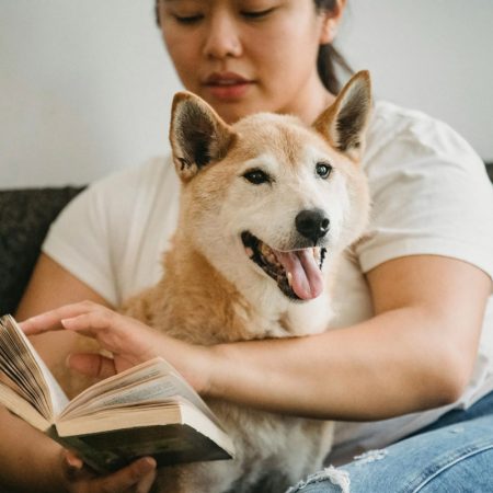 Spending Good Friday With Your Pet Peace And Quiet