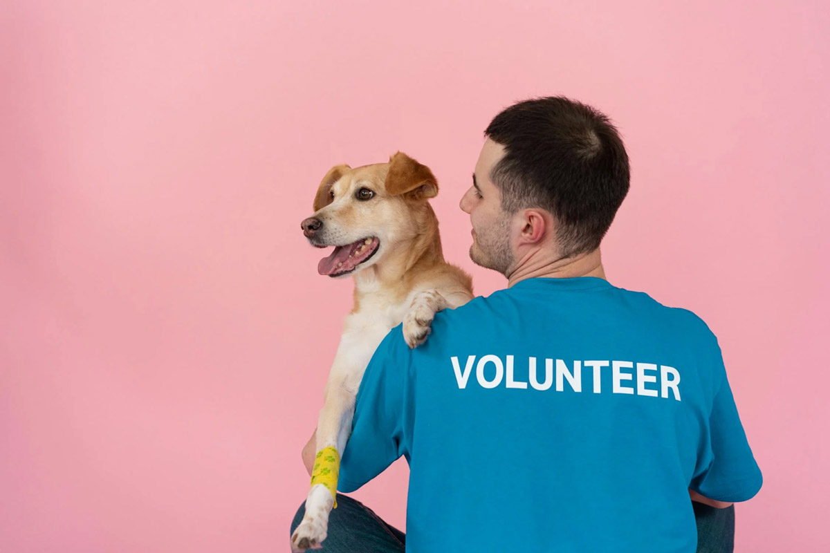 Spending Good Friday With Your Pet Peace And Quiet