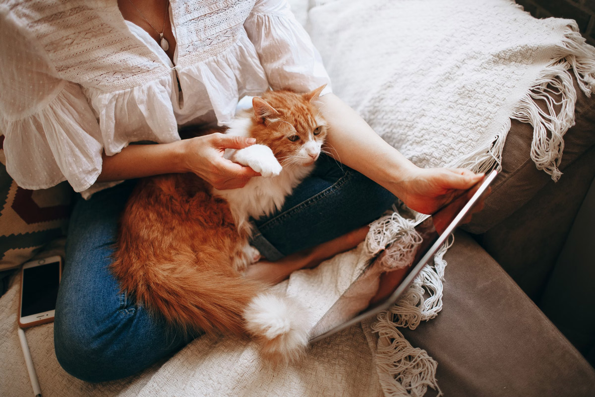 The Heartfelt Joy Of Being A Pet Mum On Mother’s Day