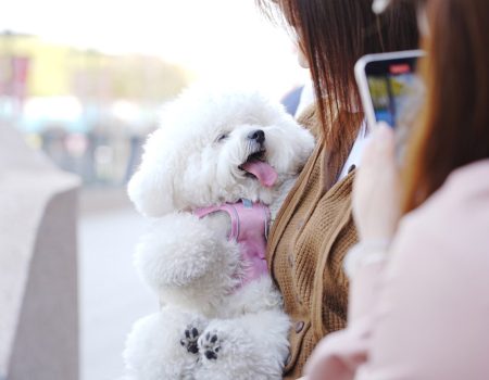 What To Pack For A Day Out At A Pet-Friendly Location