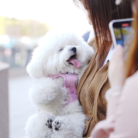 What To Pack For A Day Out At A Pet-Friendly Location