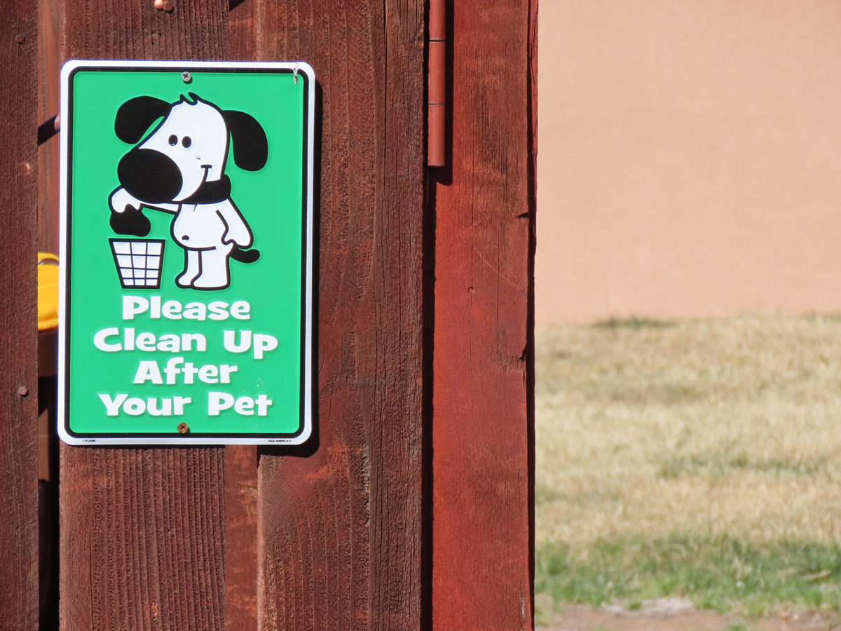 What To Pack For A Day Out At A Pet-Friendly Location
