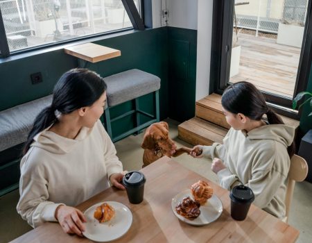 Title How Pet Cafés Promote Socialisation For You & Your Pet
