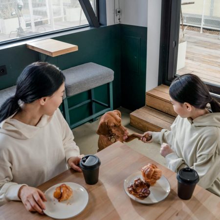 Title How Pet Cafés Promote Socialisation For You & Your Pet