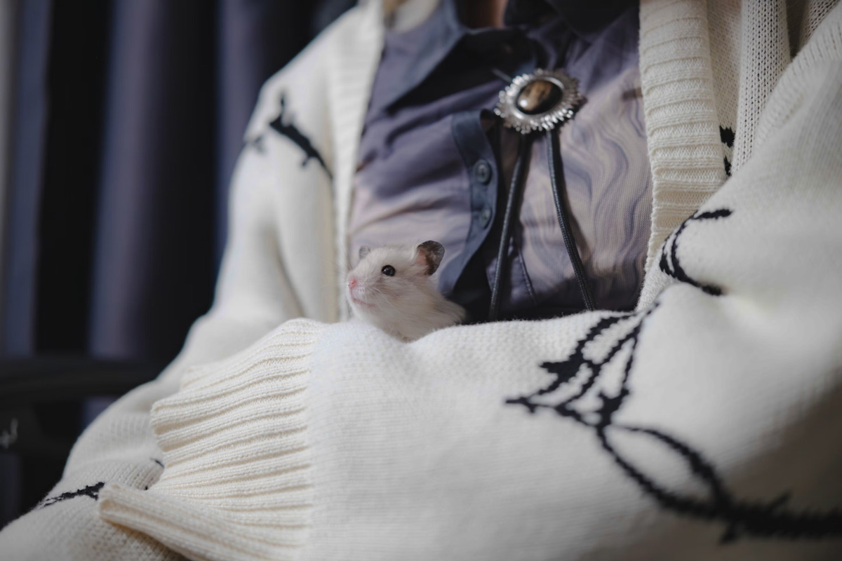 Pets That Represent Loyalty, Bonding, And Friendship