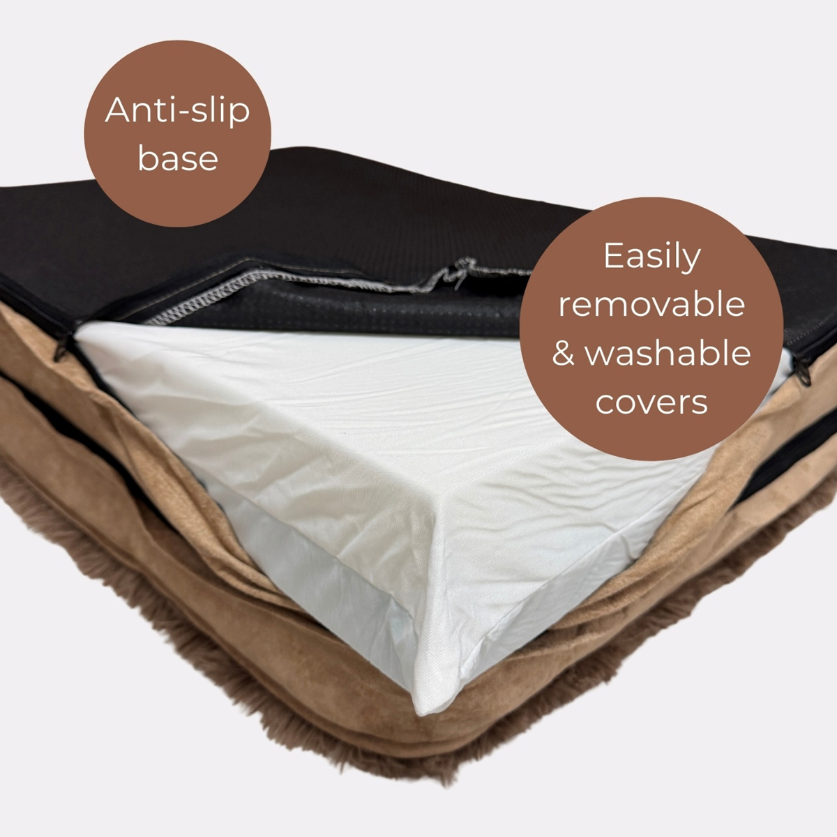 Sweet Dreams and Calm Hearts How KOMU is Revolutionising Pet Comfort in Singapore