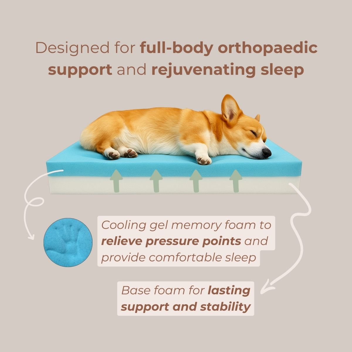 Sweet Dreams and Calm Hearts How KOMU is Revolutionising Pet Comfort in Singapore