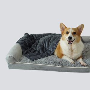 Sweet Dreams and Calm Hearts How KOMU is Revolutionising Pet Comfort in Singapore