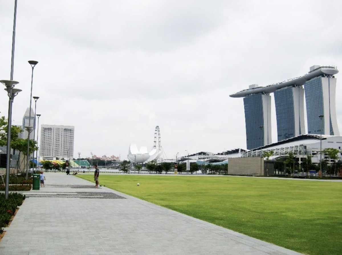 Top 3 Pet-Friendly Spots To Celebrate National Day