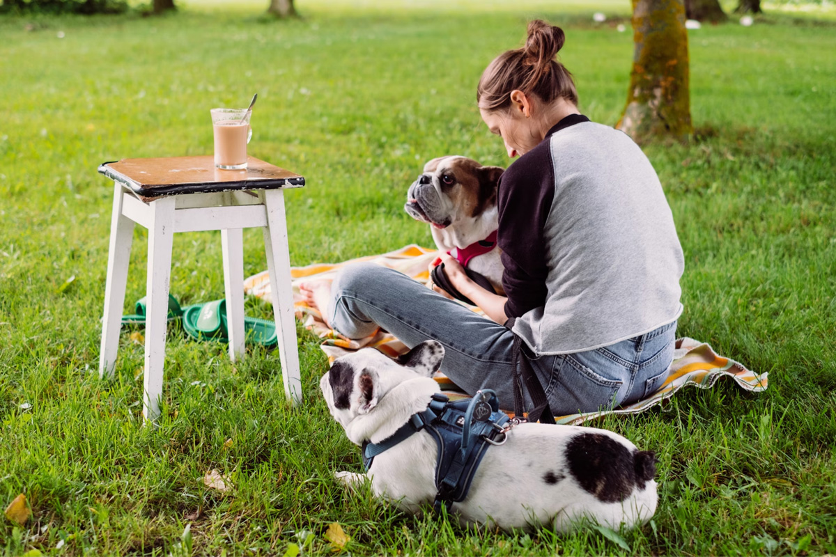 Top 3 Pet-Friendly Spots To Celebrate National Day