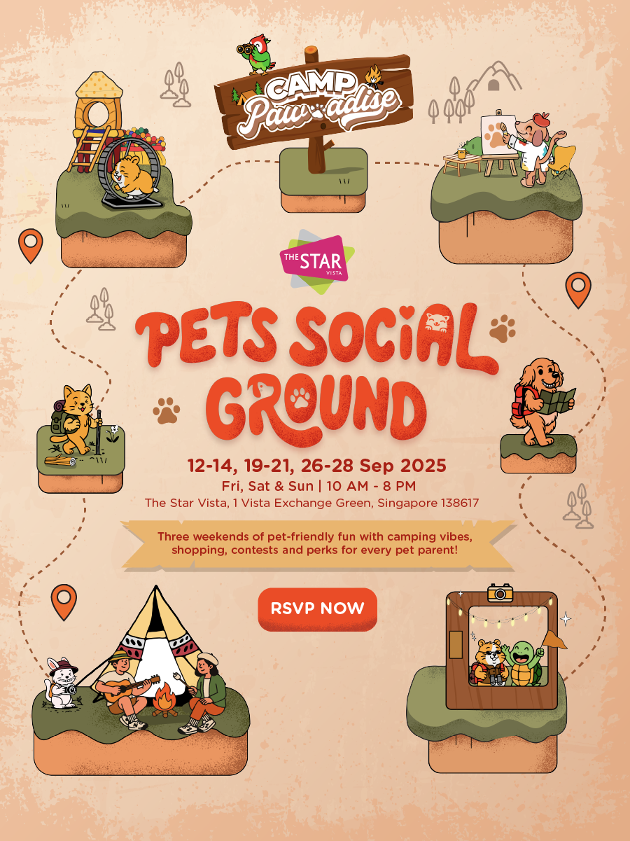 pets social ground 2025 at the star vista