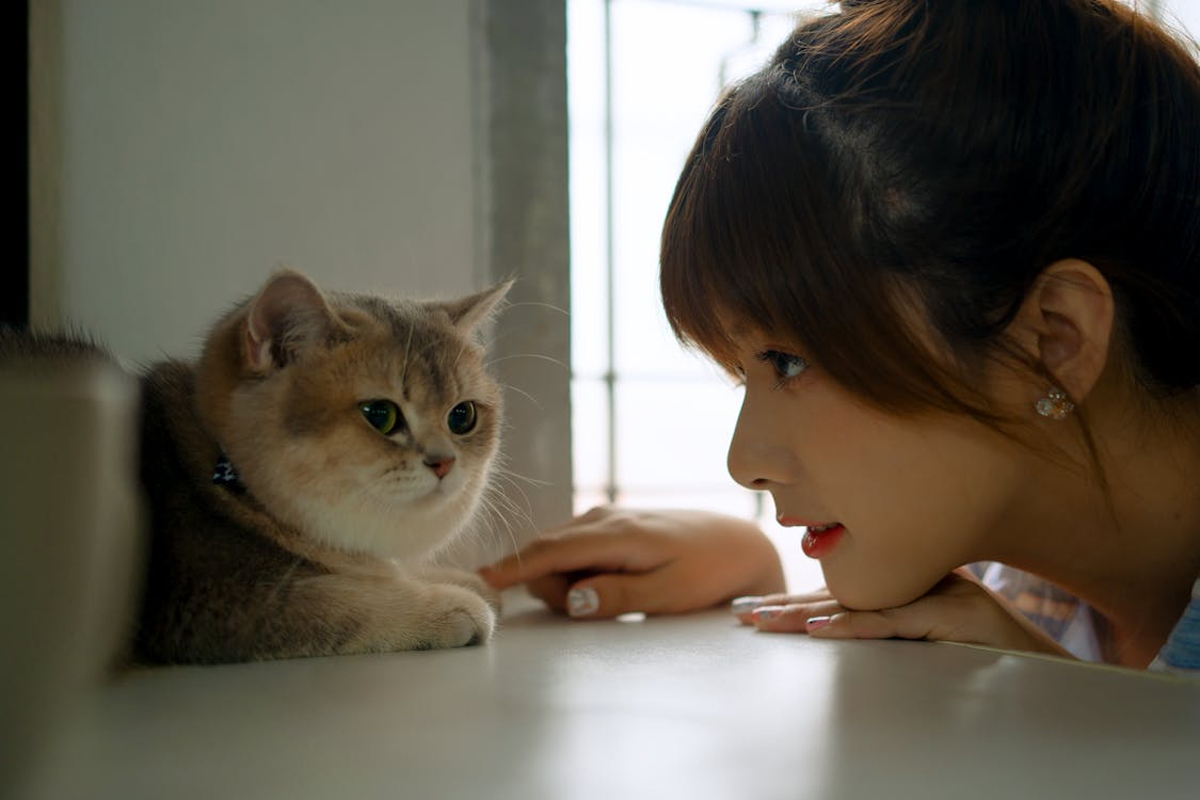 Ways To Make World Animal Day An Entire Weekend Affair