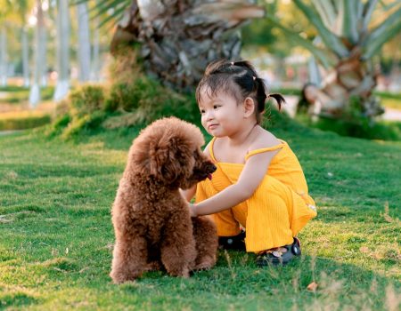 Pet-Friendly Countdown Spaces To Welcome A Calm New Year | Clubpets