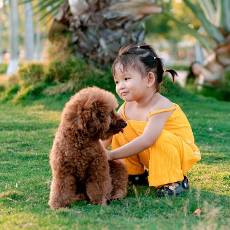 Pet-Friendly Countdown Spaces To Welcome A Calm New Year | Clubpets