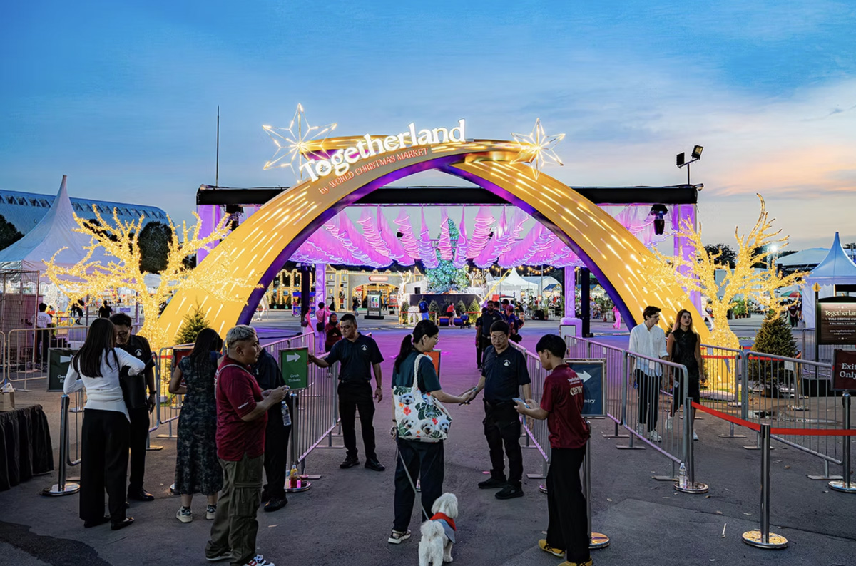 Pet-Friendly Countdown Spaces To Welcome A Calm New Year