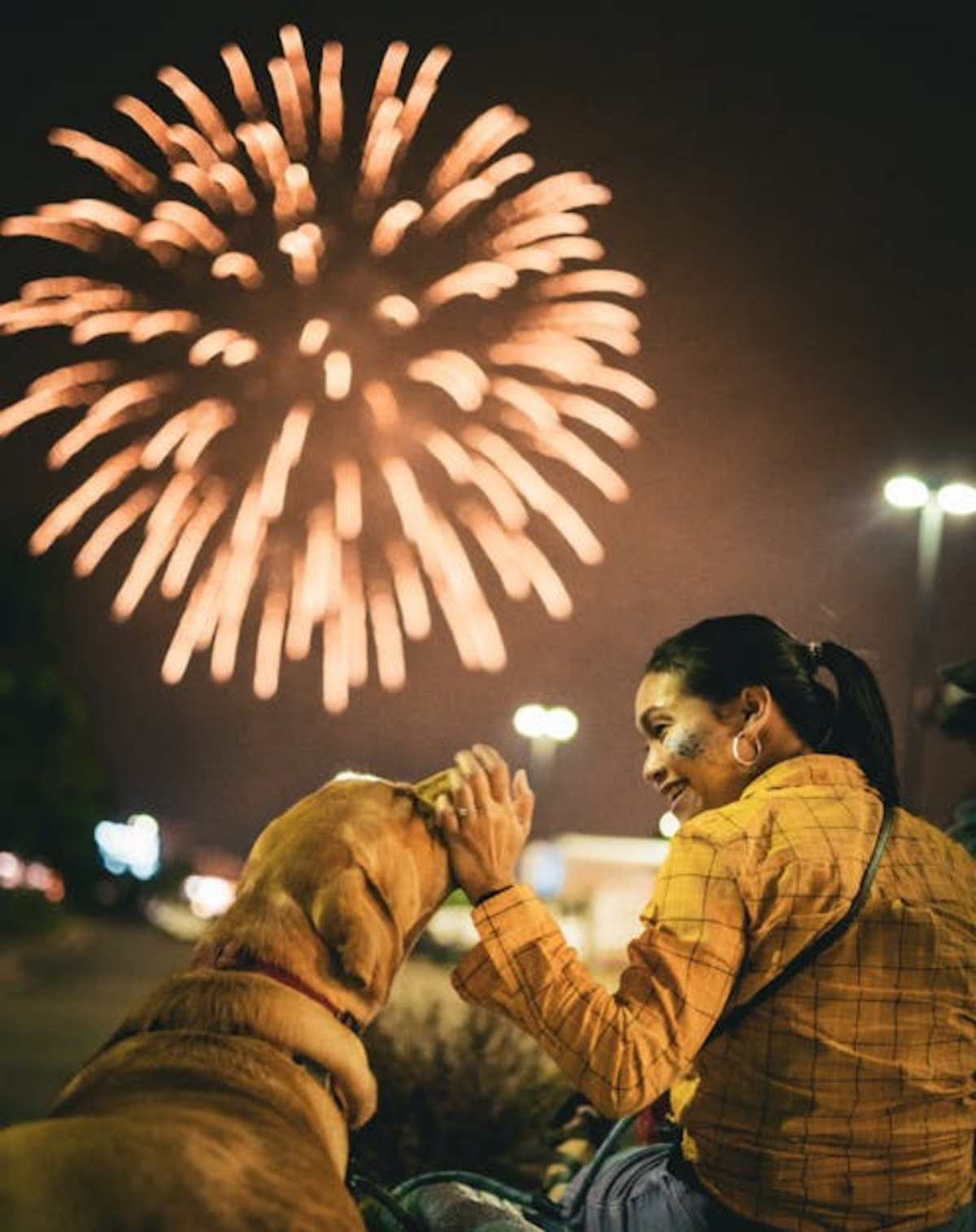 Pet-Friendly Countdown Spaces To Welcome A Calm New Year | Clubpets