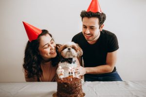Best Places In Singapore To Order Cakes For Your Pets | Clubpets