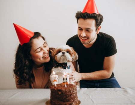 Best Places In Singapore To Order Cakes For Your Pets | Clubpets