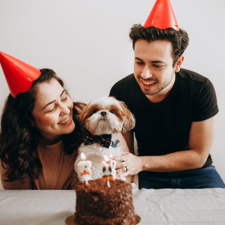 Best Places In Singapore To Order Cakes For Your Pets | Clubpets