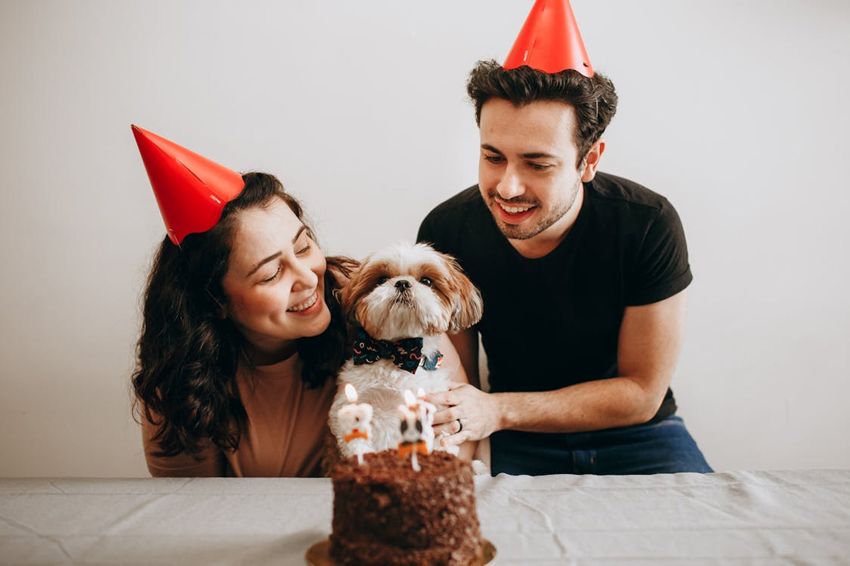 Best Places In Singapore To Order Cakes For Your Pets | Clubpets