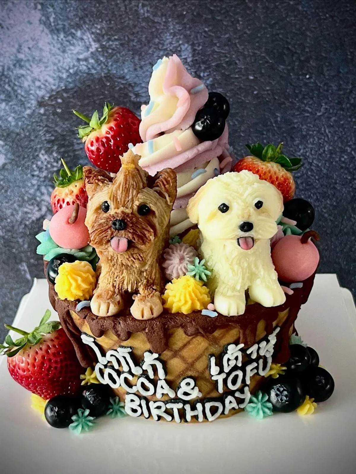 Best Places In Singapore To Order Cakes For Your Pets | Clubpets