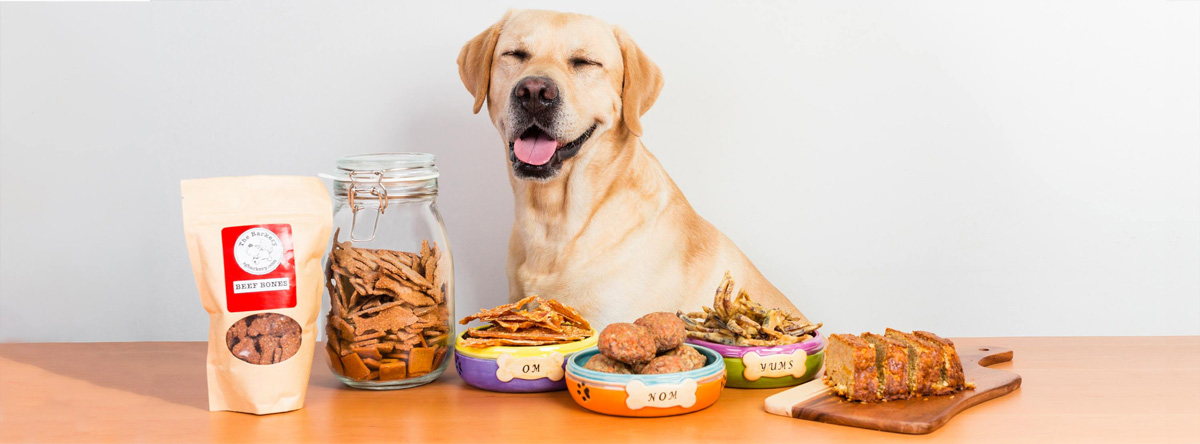 Best Places In Singapore To Order Cakes For Your Pets | Clubpets