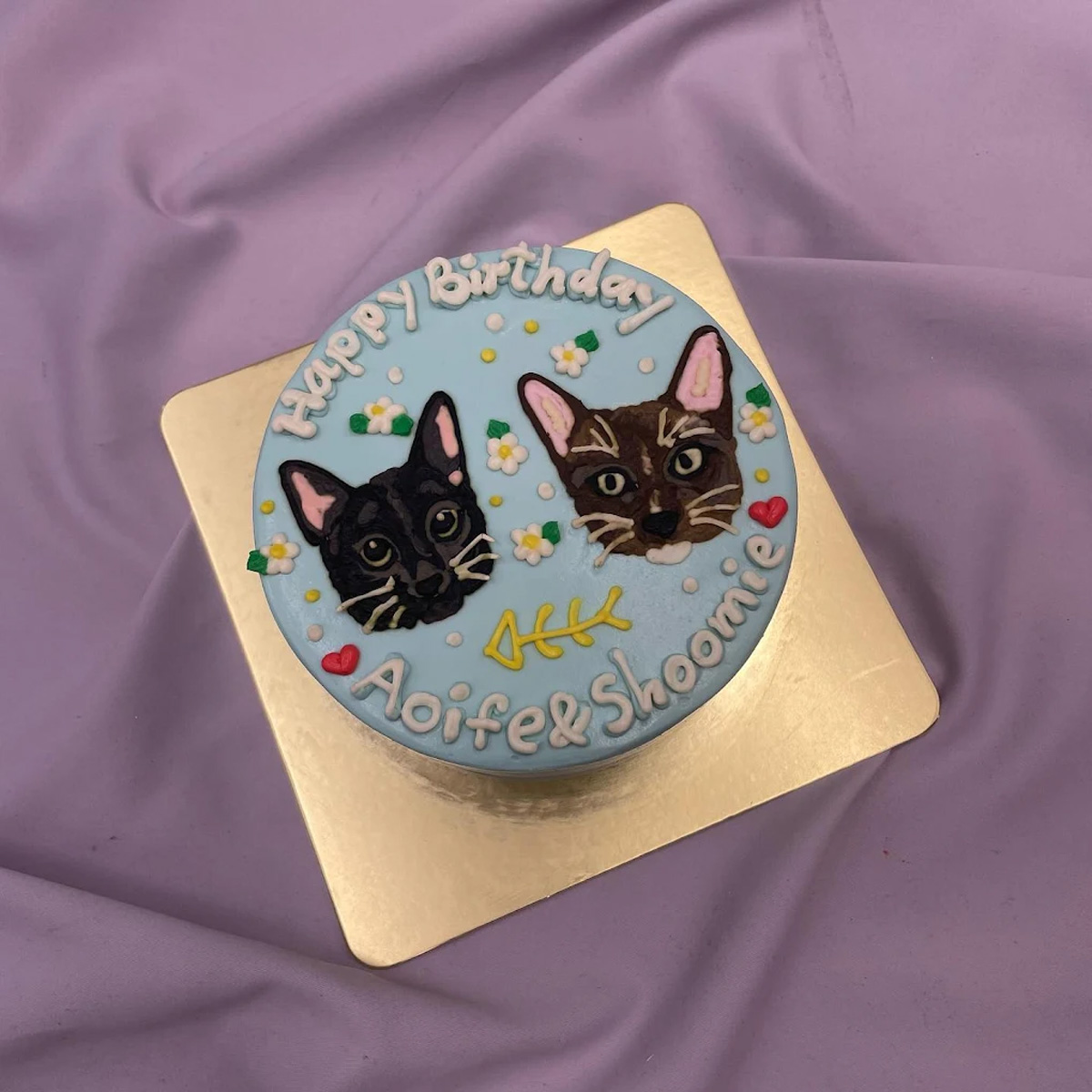 Best Places In Singapore To Order Cakes For Your Pets | Clubpets