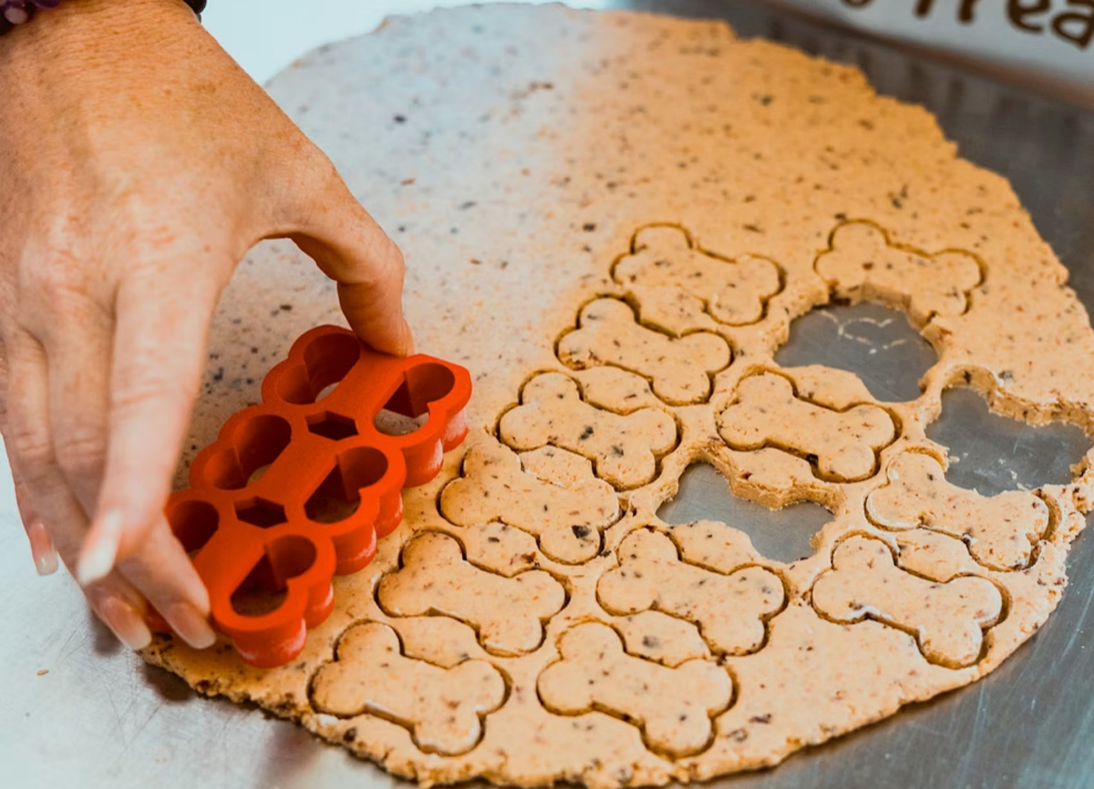 Best Places In Singapore To Order Cakes For Your Pets | Clubpets