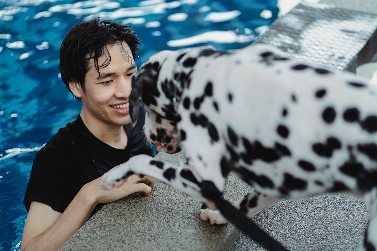 Hydrotherapy Benefits For Dogs With Festive Anxiety | Clubpets