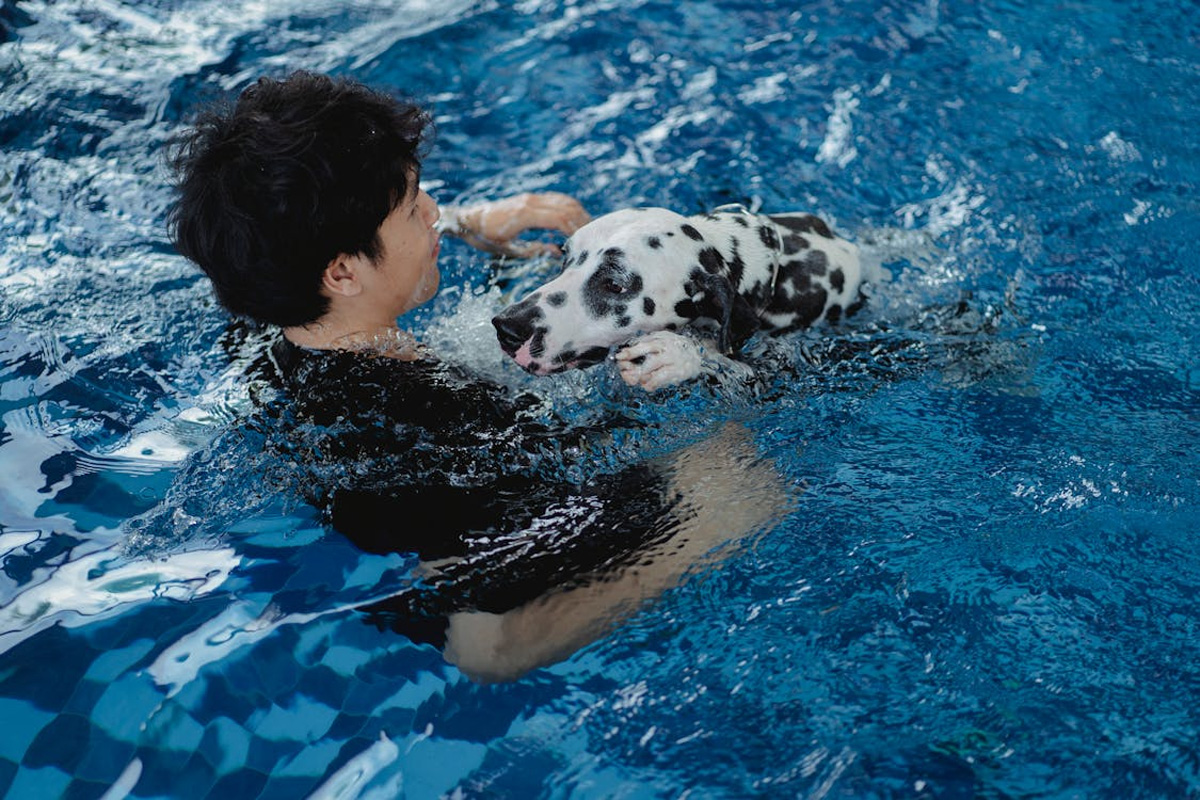 Hydrotherapy Benefits For Dogs With Festive Anxiety | Clubpets