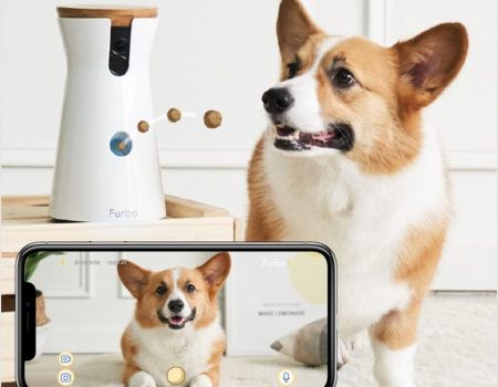 Smart Devices Singapore Pawrents Are Using to Care for Their Furkids