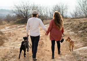 The Ultimate Pre-Departure Checklist for Singaporean Pet Owners