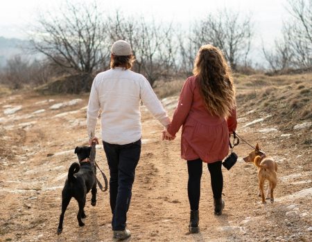 The Ultimate Pre-Departure Checklist for Singaporean Pet Owners