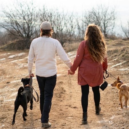 The Ultimate Pre-Departure Checklist for Singaporean Pet Owners