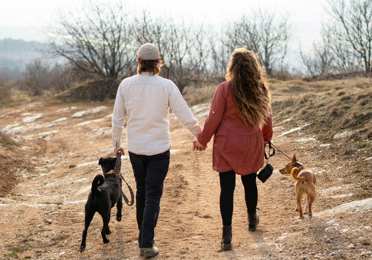 The Ultimate Pre-Departure Checklist for Singaporean Pet Owners