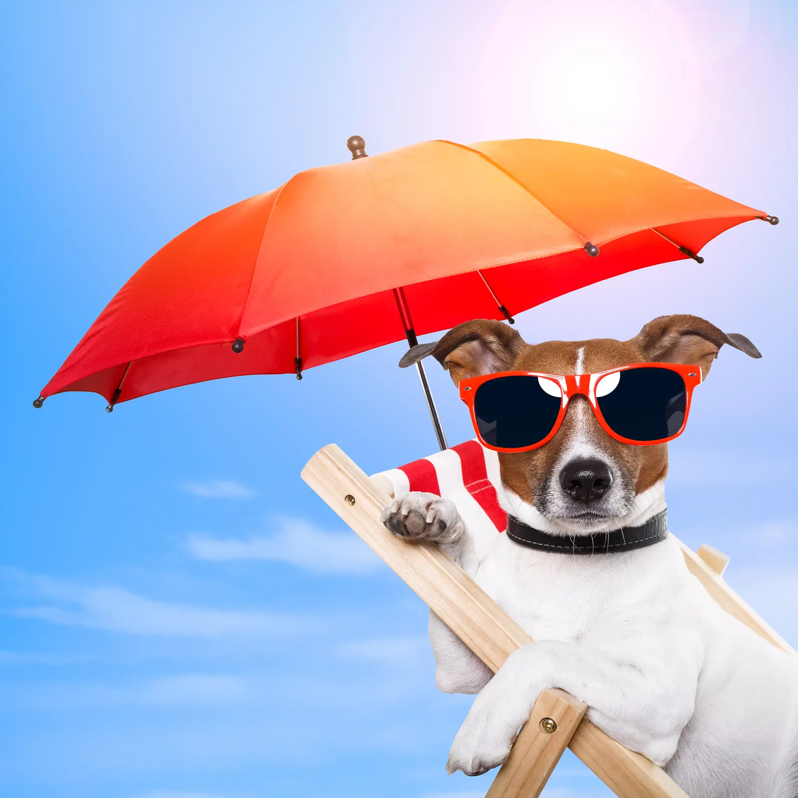 Beat the Heat