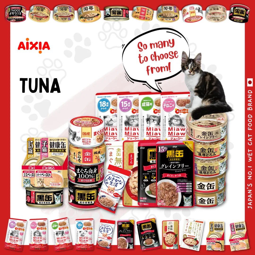  𝗝𝗔𝗣𝗔𝗡’𝗦 𝗡𝗢.𝟭 𝗪𝗘𝗧 𝗖𝗔𝗧 𝗙𝗢𝗢𝗗 𝗕𝗥𝗔𝗡𝗗, 𝗔𝗜𝗫𝗜𝗔!