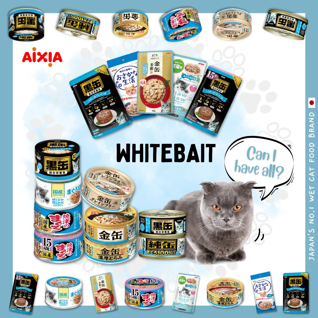  𝗝𝗔𝗣𝗔𝗡’𝗦 𝗡𝗢.𝟭 𝗪𝗘𝗧 𝗖𝗔𝗧 𝗙𝗢𝗢𝗗 𝗕𝗥𝗔𝗡𝗗, 𝗔𝗜𝗫𝗜𝗔!