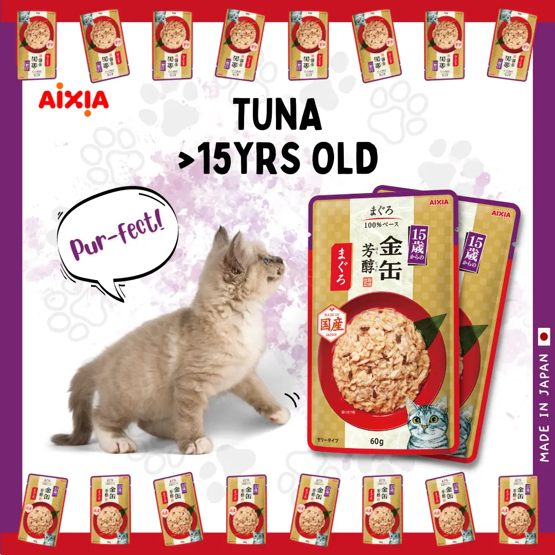  𝗝𝗔𝗣𝗔𝗡’𝗦 𝗡𝗢.𝟭 𝗪𝗘𝗧 𝗖𝗔𝗧 𝗙𝗢𝗢𝗗 𝗕𝗥𝗔𝗡𝗗, 𝗔𝗜𝗫𝗜𝗔!