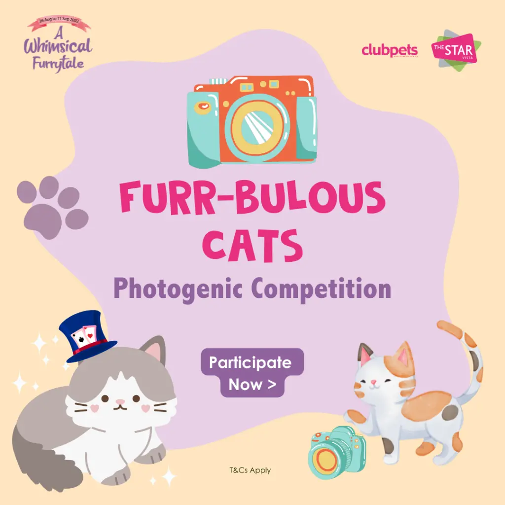 A Whimsical Furrytale by Clubpets x The Star Vista | Pet Show | Pet Event | Pet Expo