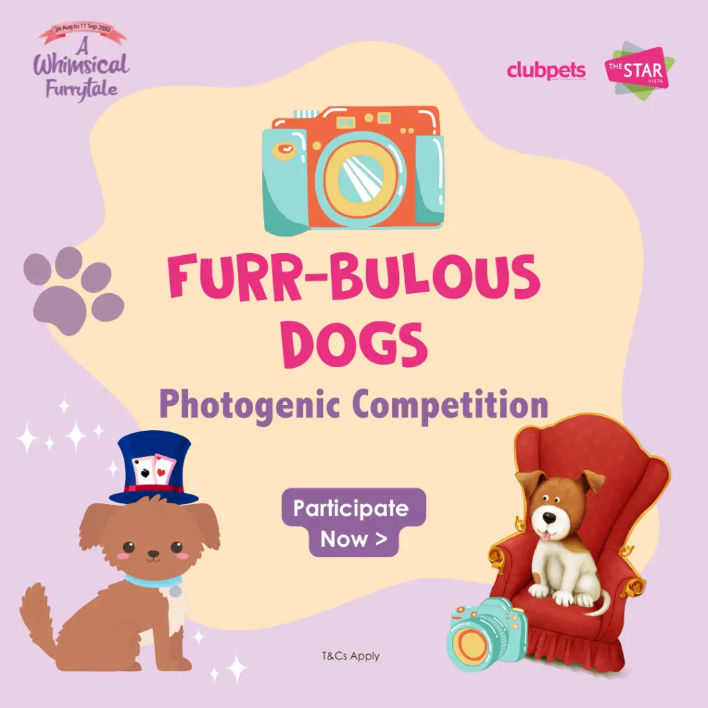 A Whimsical Furrytale by Clubpets x The Star Vista | Pet Show | Pet Event | Pet Expo