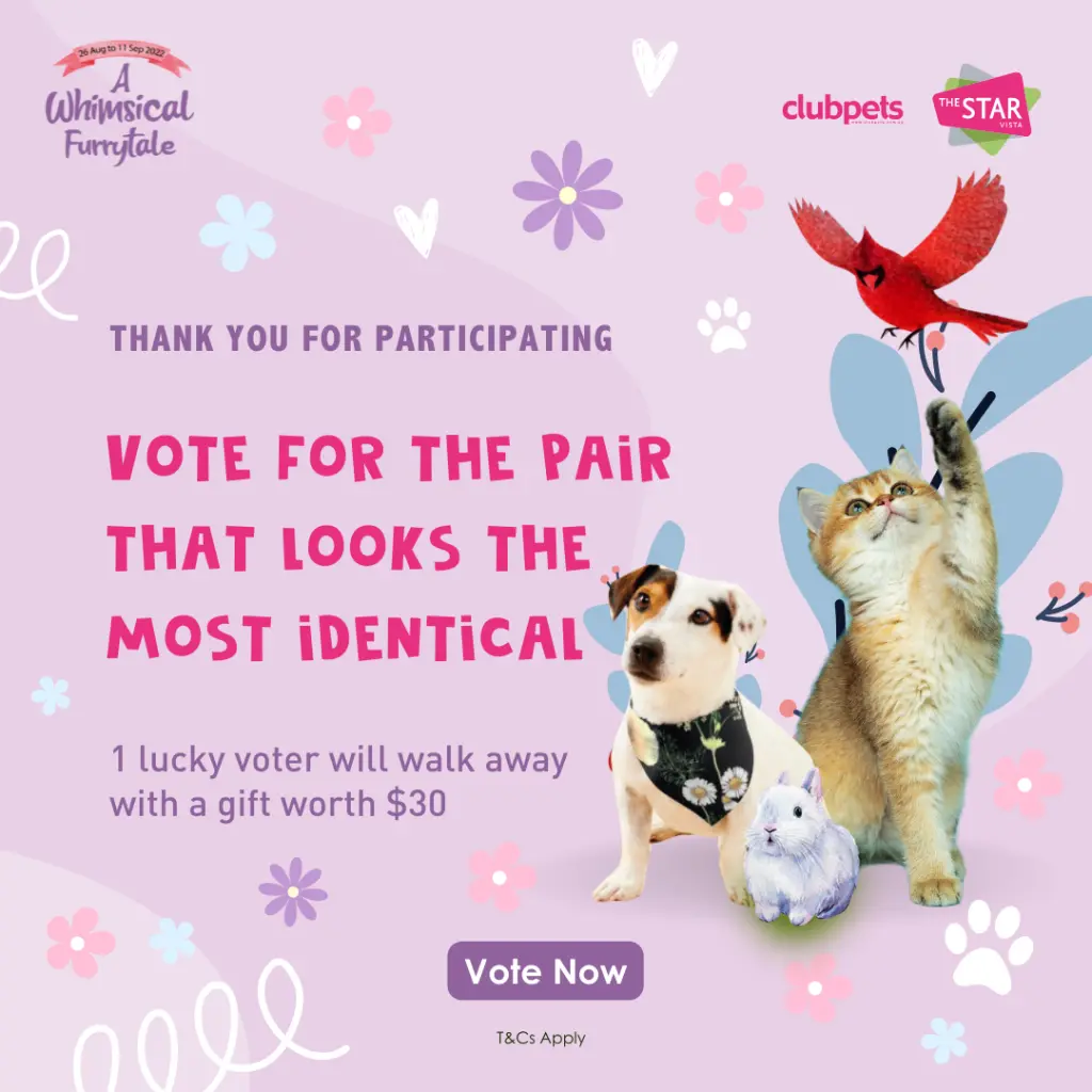 A Whimsical Furrytale by Clubpets x The Star Vista | Pet Show | Pet Event | Pet Expo